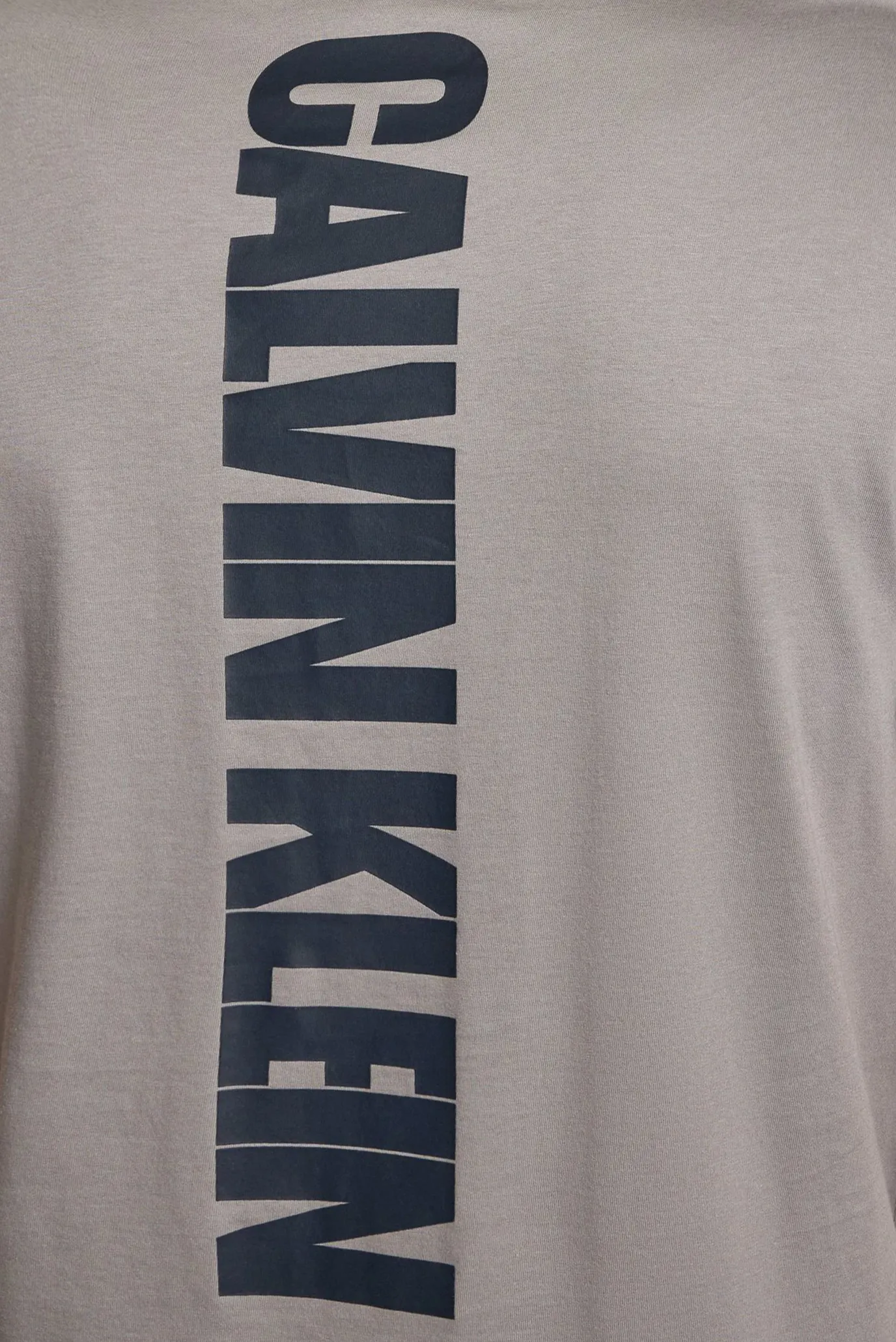 Мужская серая футболка SS 30s EU WORD STRETCH GRAPHIC 2