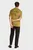 Мужская горчичная футболка WASHED PUFF PRINT
