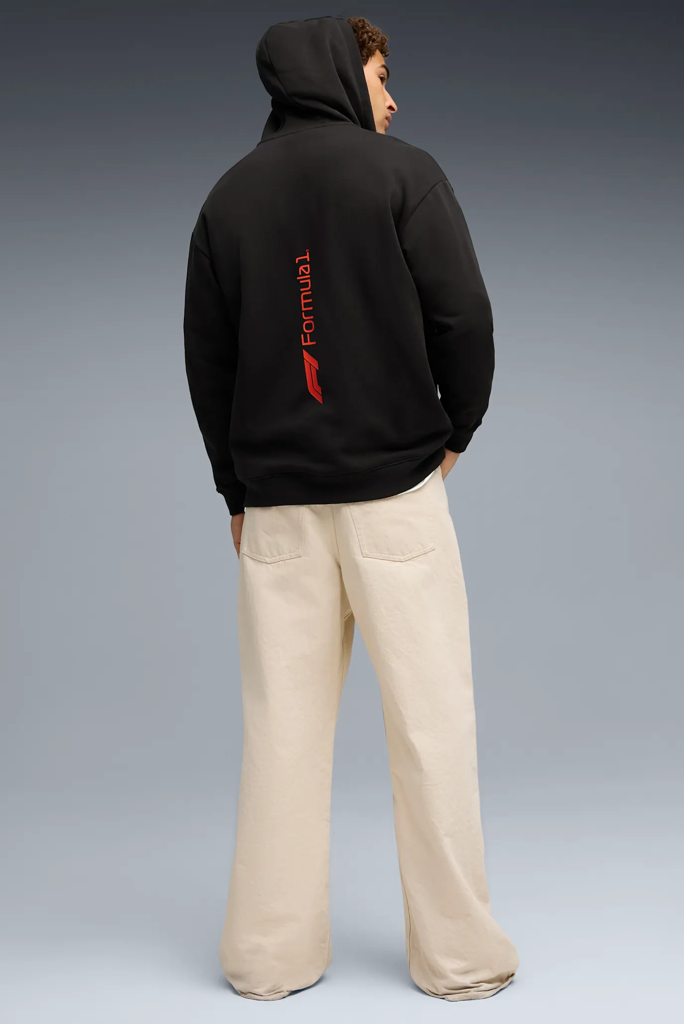 Мужское черное худи F1® Essential+ Full-Zip Hoodie Men 2