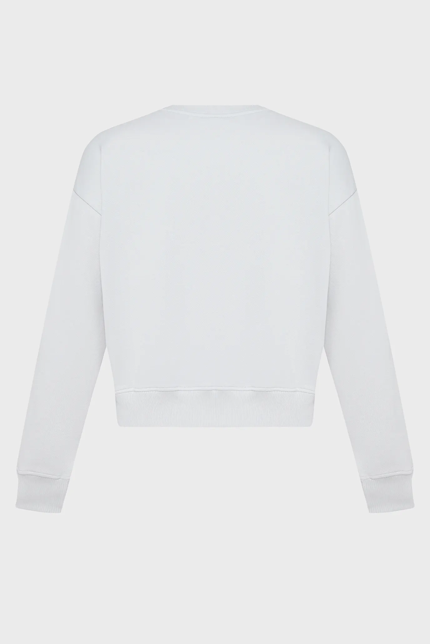 Жіночий сірий світшот reg box logo 2