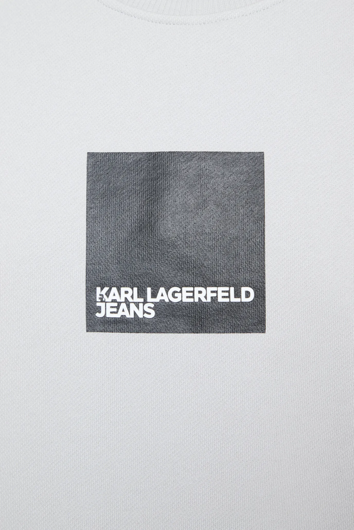 Жіночий сірий світшот reg box logo 3