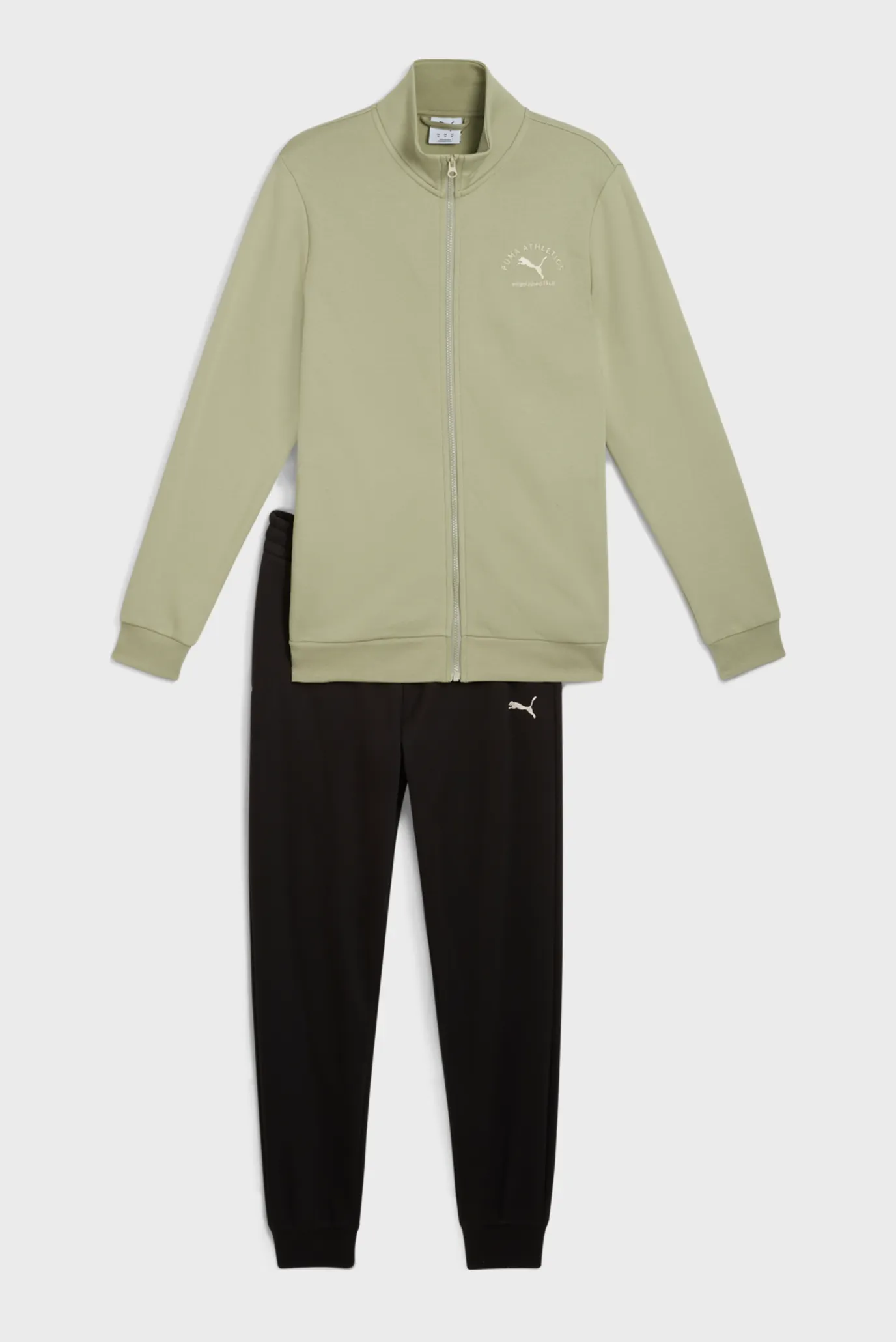 Чоловічий спортивний костюм (кофта, штани) PUMA Class Sweat Suit Men 1