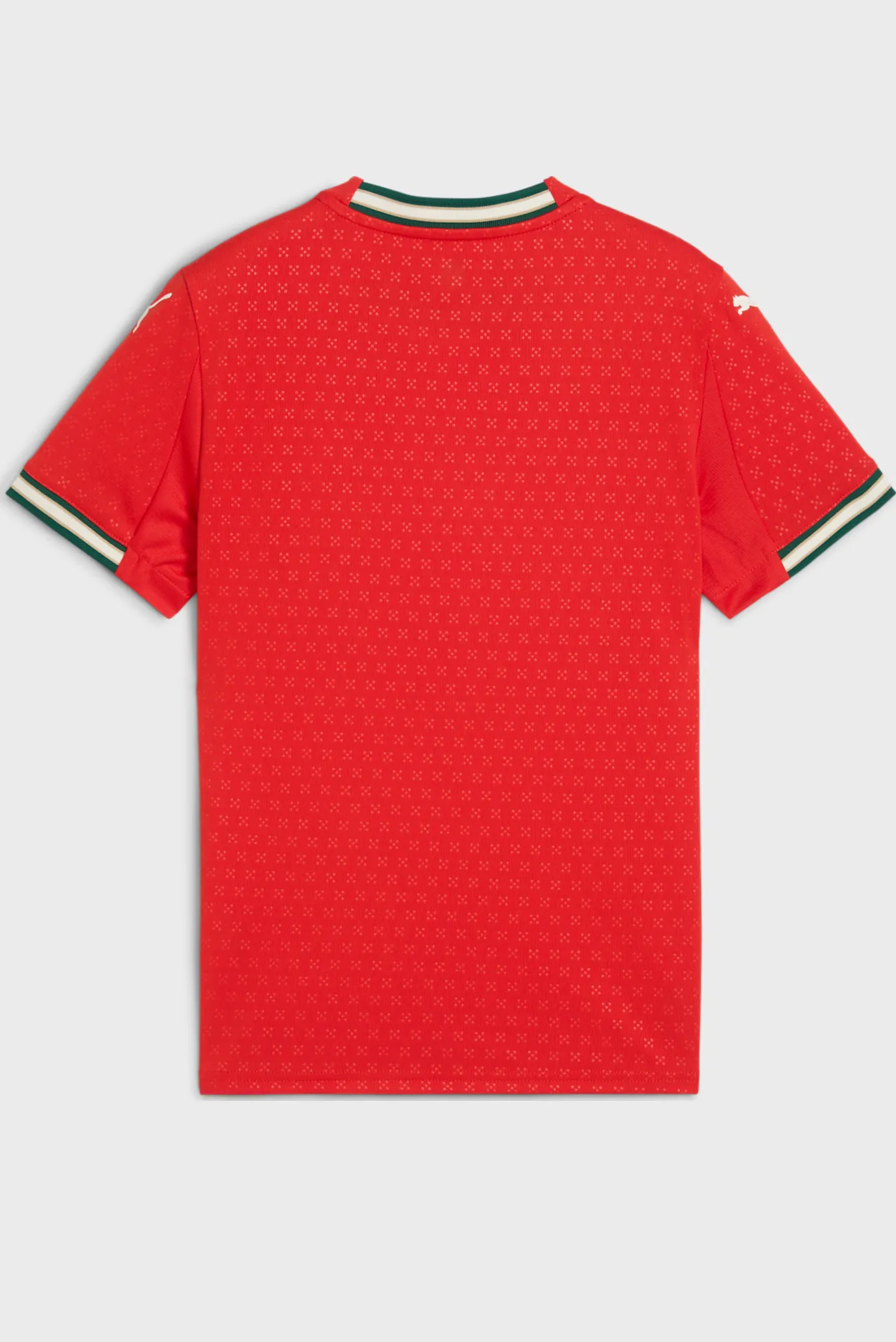 Дитяча червона футболка Portugal 2025 Home Jersey Youth 2