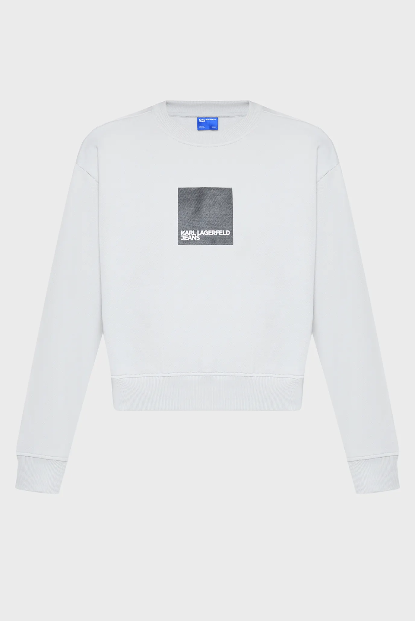 Жіночий сірий світшот reg box logo 1