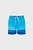 Чоловічі блакитні плавальні шорти PUMA SWIM MEN COLOUR BLOCK SHORT