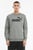 Чоловічий сірий світшот Essentials Big Logo Crew Neck Men's Sweater