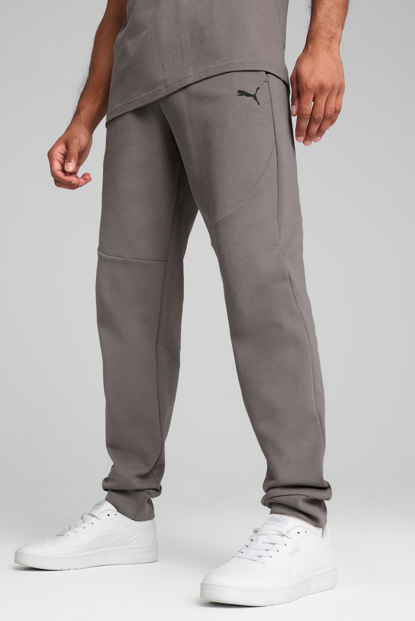 Чоловічі сірі спортивні штани PUMATECH Pants Men 1