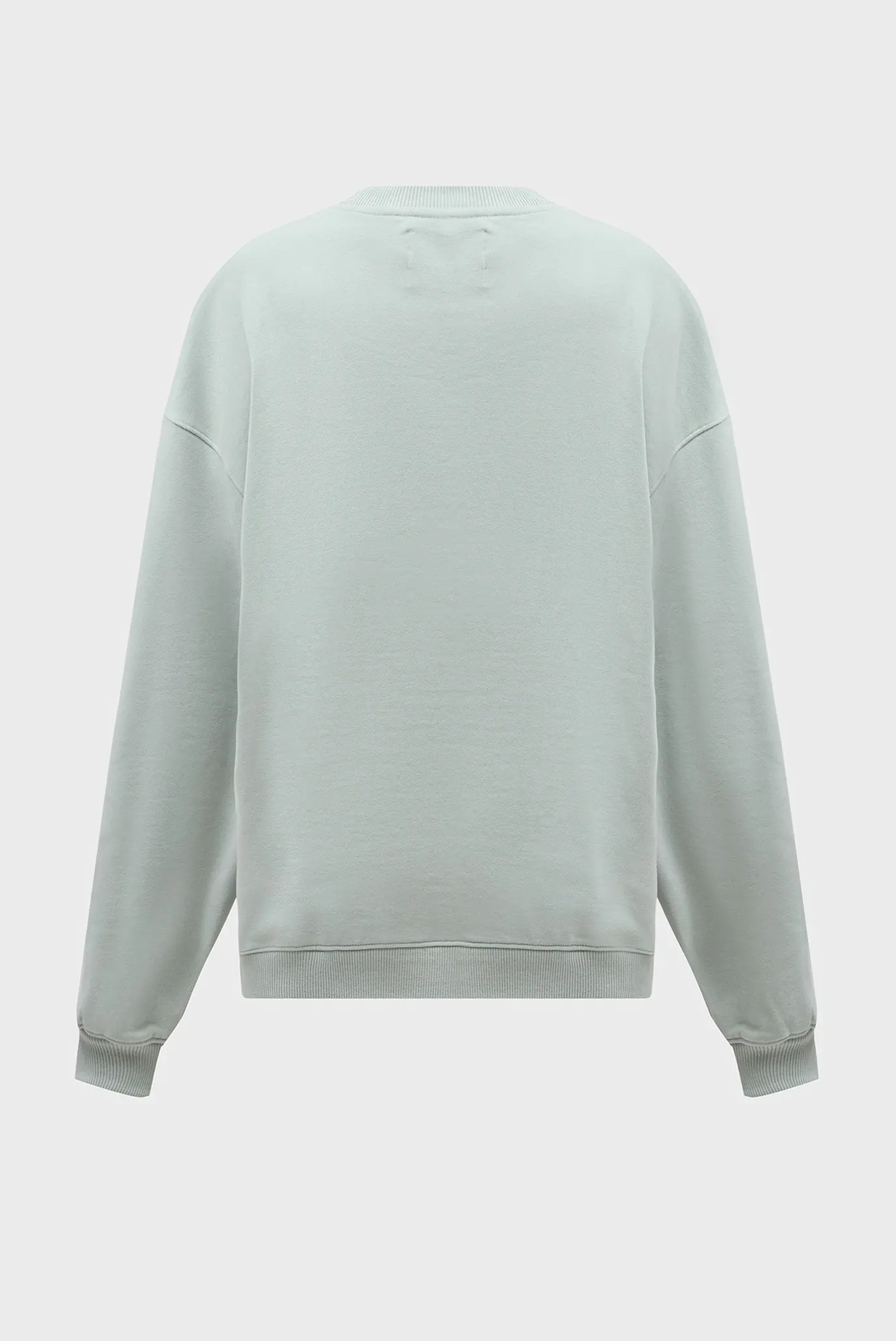 Жіночий м'ятний світшот EMBROIDERED AW OVERSIZED CN 7