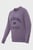 Мужской фиолетовый свитшот Athletics Varsity