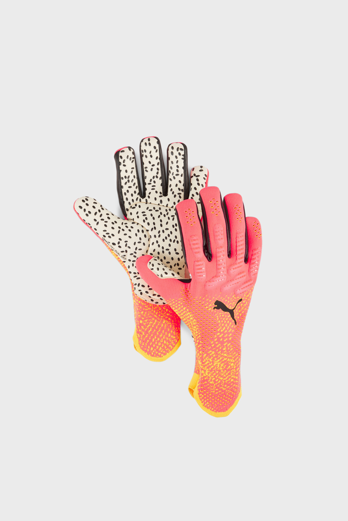 Вратарские перчатки FUTURE Ultimate NC Goalkeeper Gloves 1
