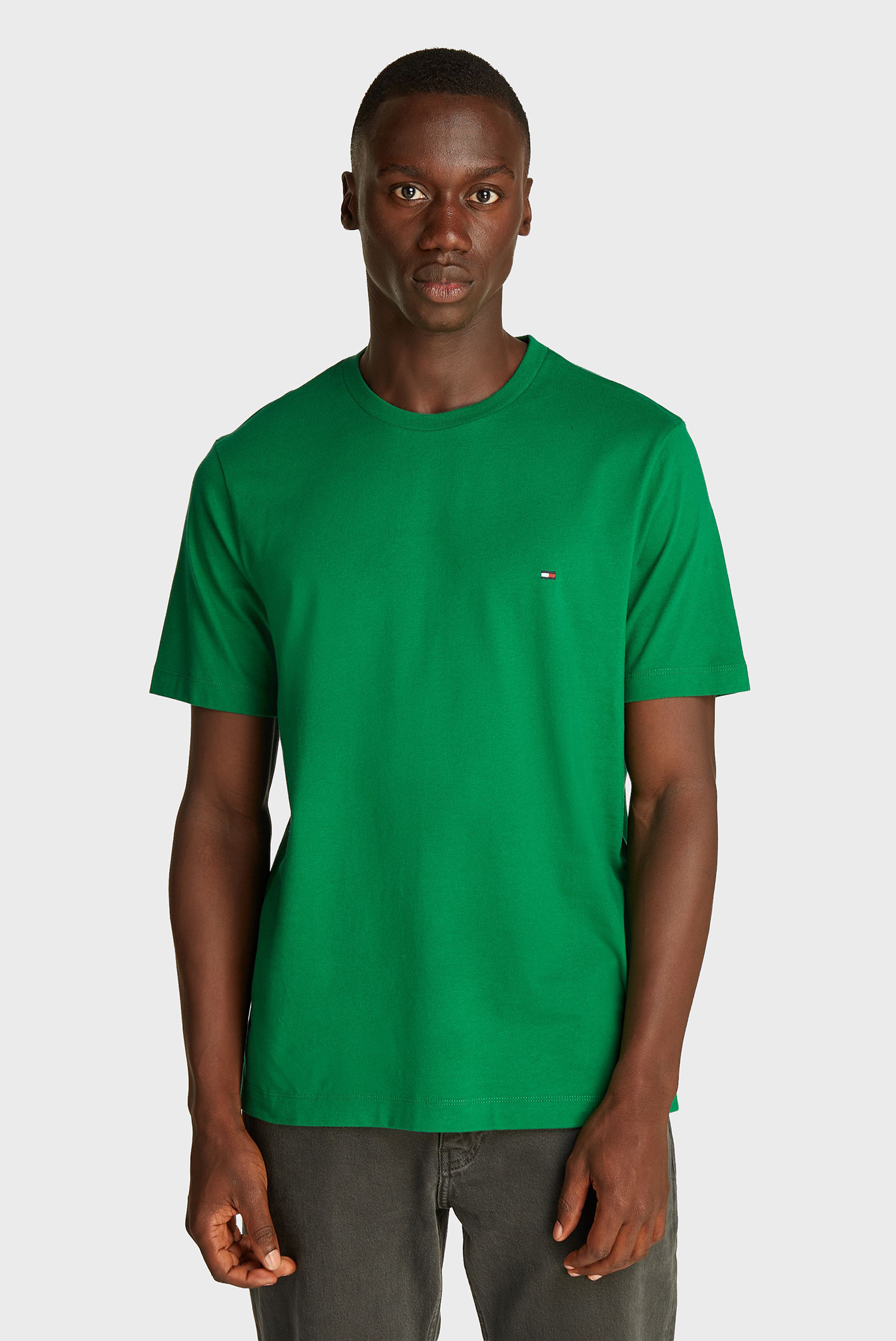 Мужская зеленая футболка ESS SEASONAL REG FIT SOLID TEE Зеленый L Tommy Hilfiger MW0MW39995 Мужская зеленая футболка ESS SEASONAL REG FIT SOLID TEE Зеленый L Tommy Hilfiger MW0MW39995