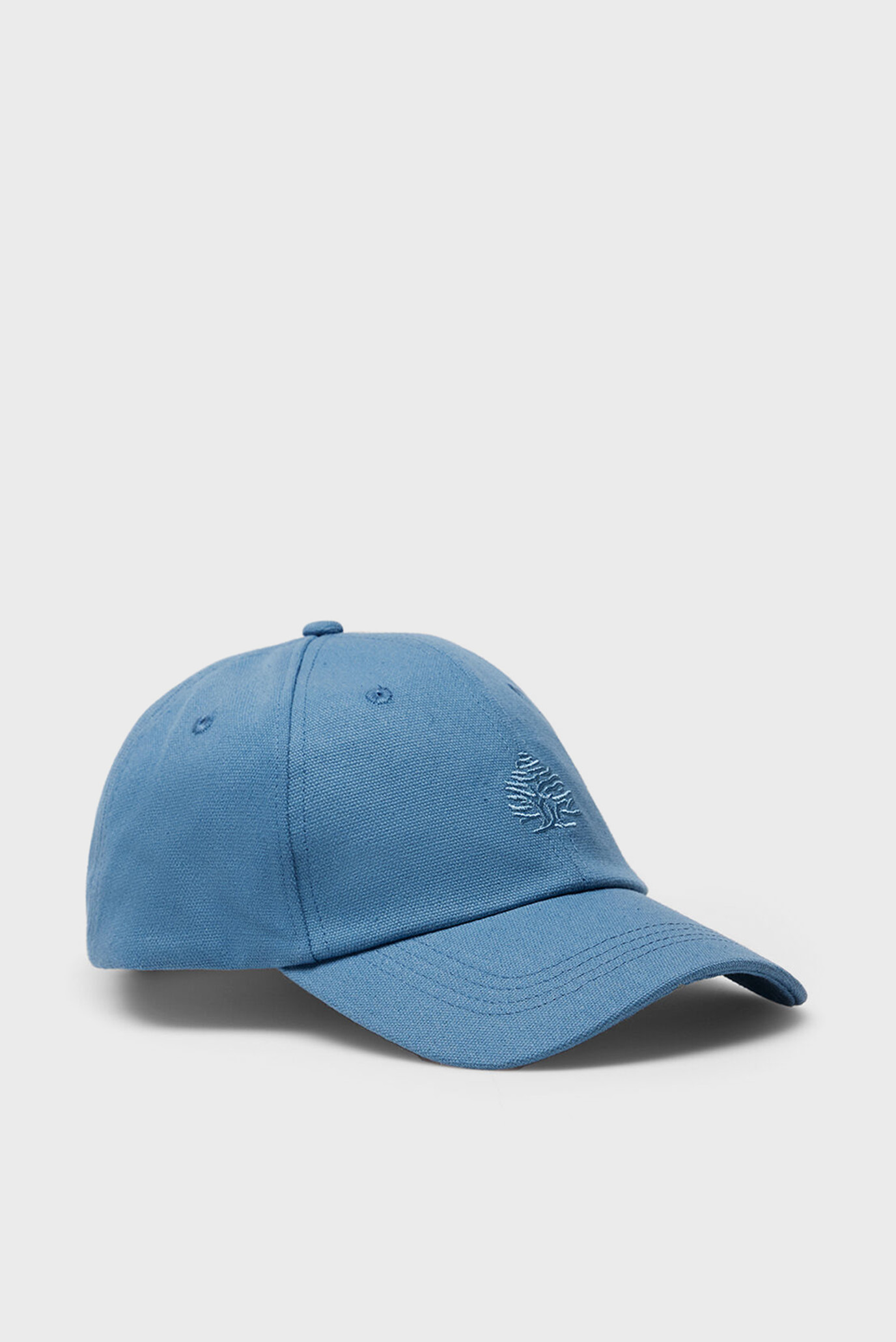Чоловіча синя кепка 1