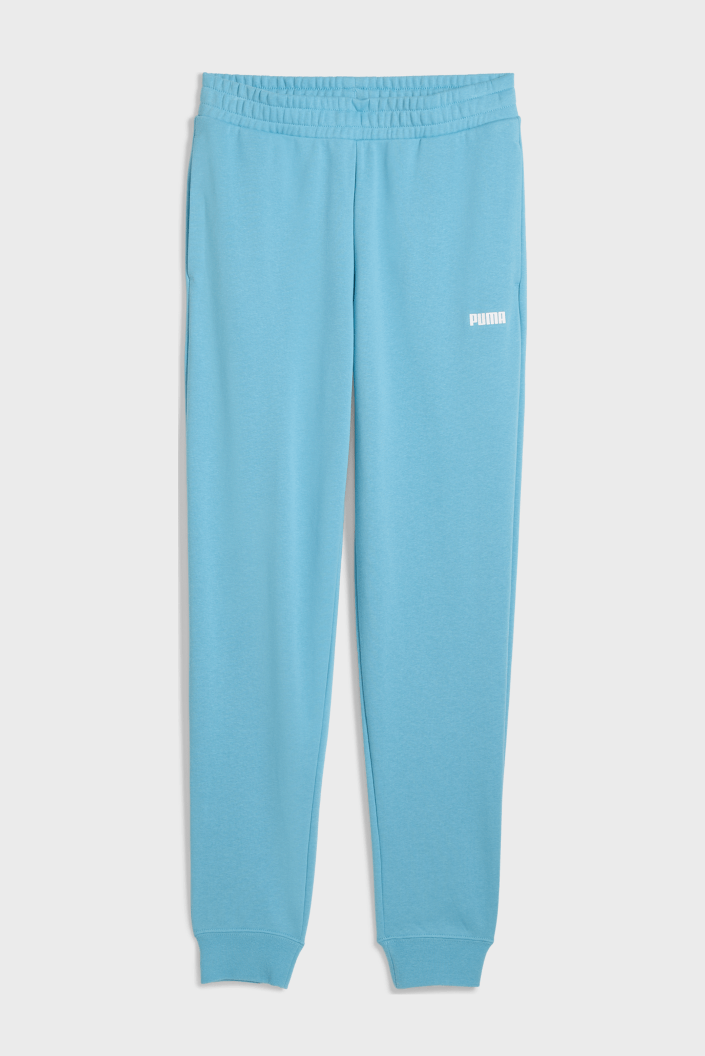 Мужские голубые спортивные брюки Essentials Logo Sweatpants Men 1