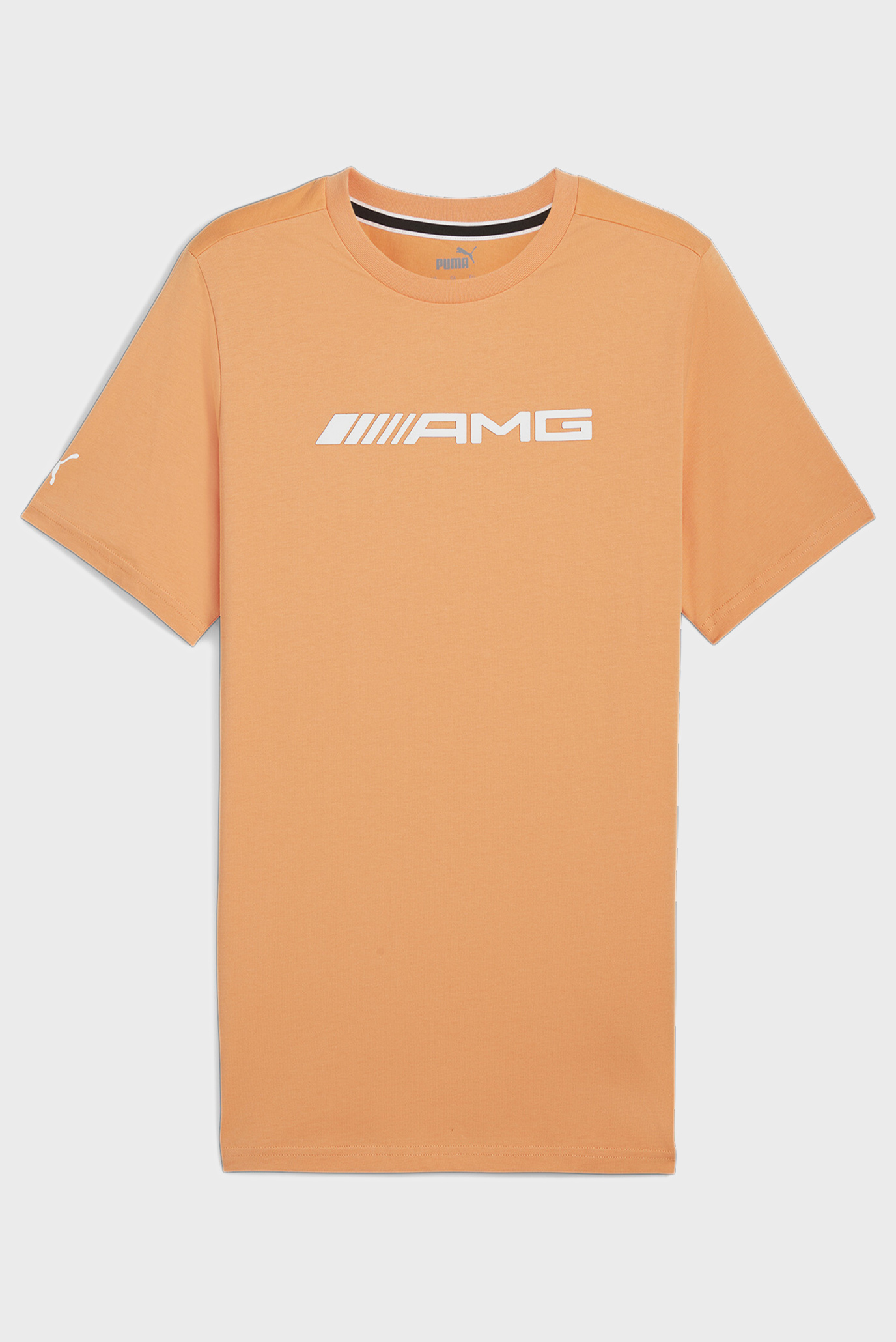 Мужская оранжевая футболка Mercedes-AMG Motorsport Logo Tee Men 1