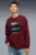 Мужской бордовый свитшот BMW M Motorsport Graphic Crew Neck Sweat Men