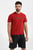Мужская бордовая футболка Lanco