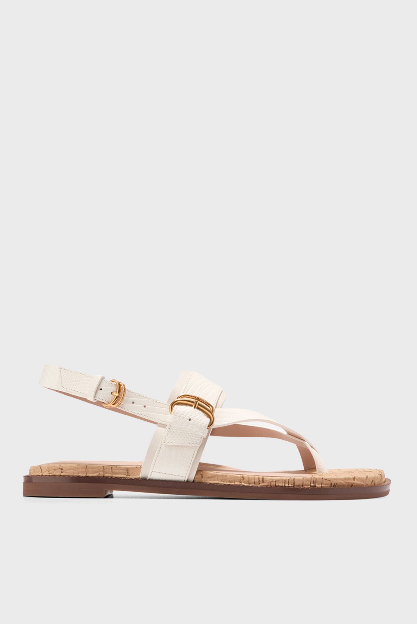 Жіночі бежеві шкіряні сандалі Anica Lux Buckle Sandal 1