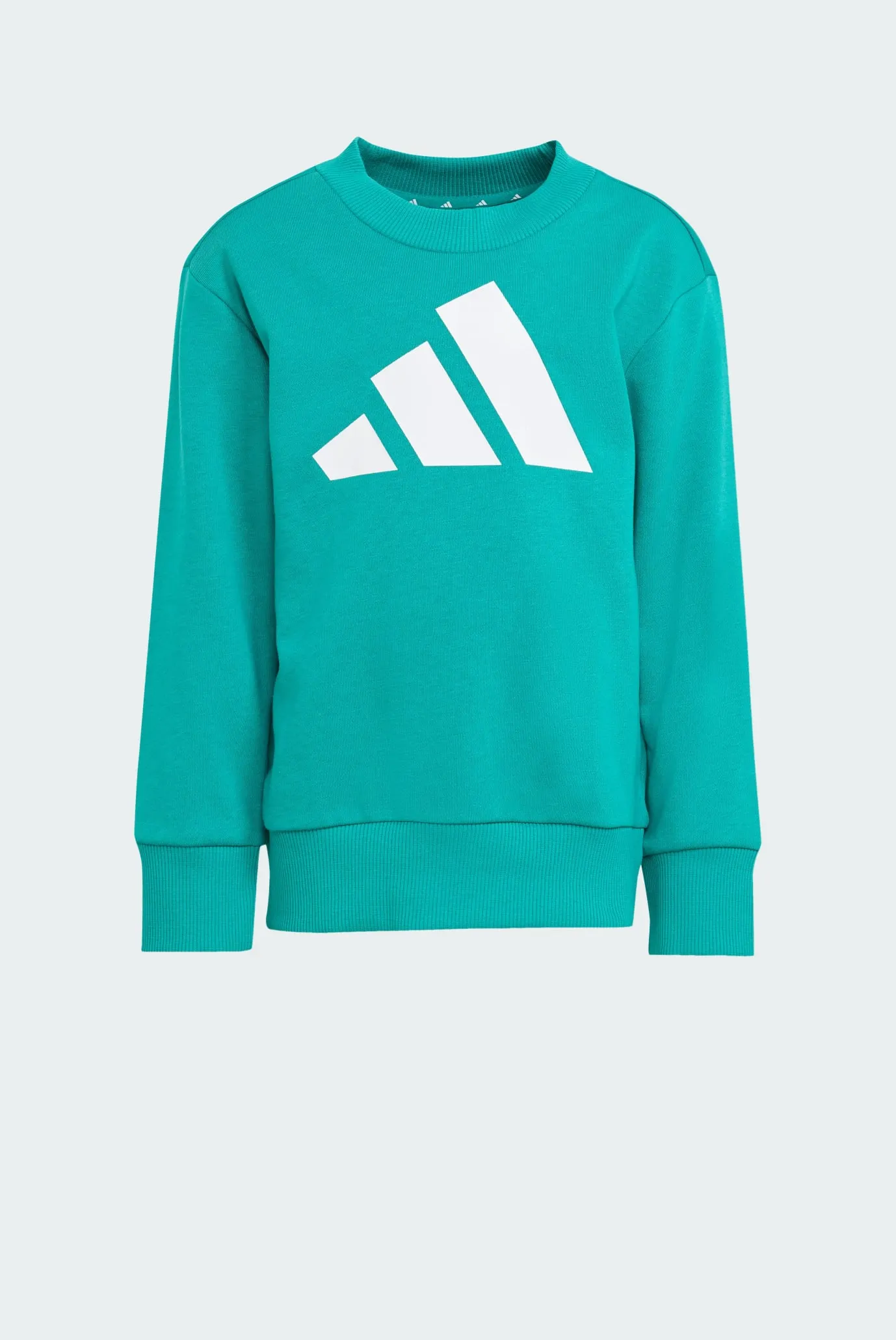 Детский спортивный костюм (свитшот, брюки) Essentials Kids 6