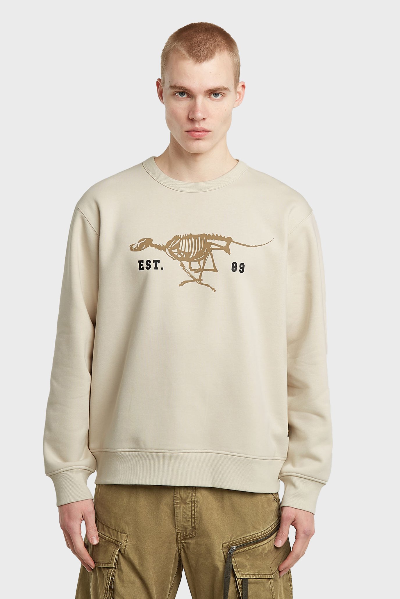 Мужской бежевый свитшот Running dog back Бежевый XL G-Star RAW D27095,D733 Мужской бежевый свитшот Running dog back Бежевый XL G-Star RAW D27095,D733