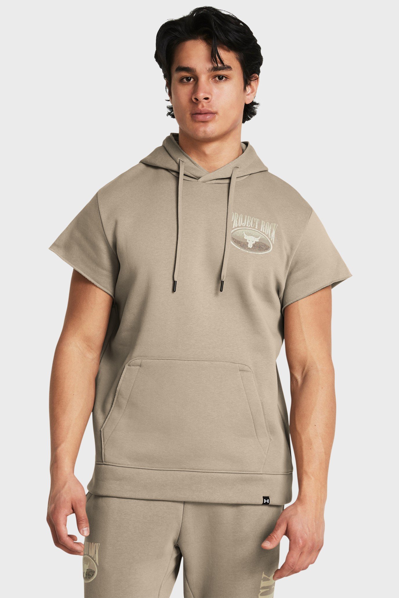 Мужское бежевое худи Pjt Rck Q1 SS Icon Fleece HD 1