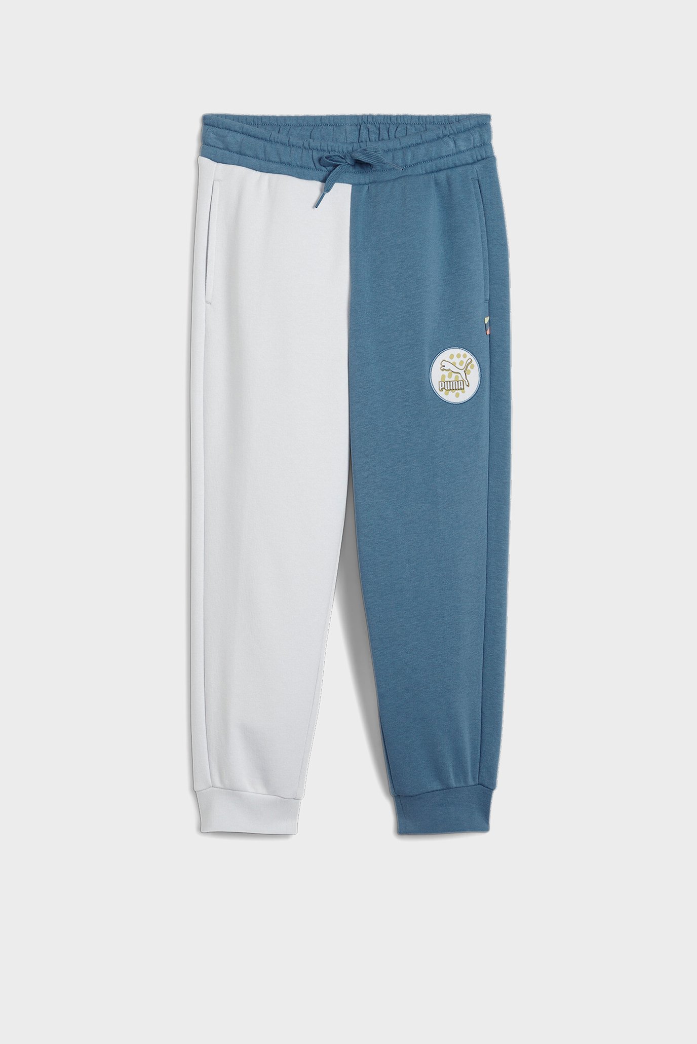 Дитячі спортивні штани CLASSICS PUMA FC Sweatpants Kids 1