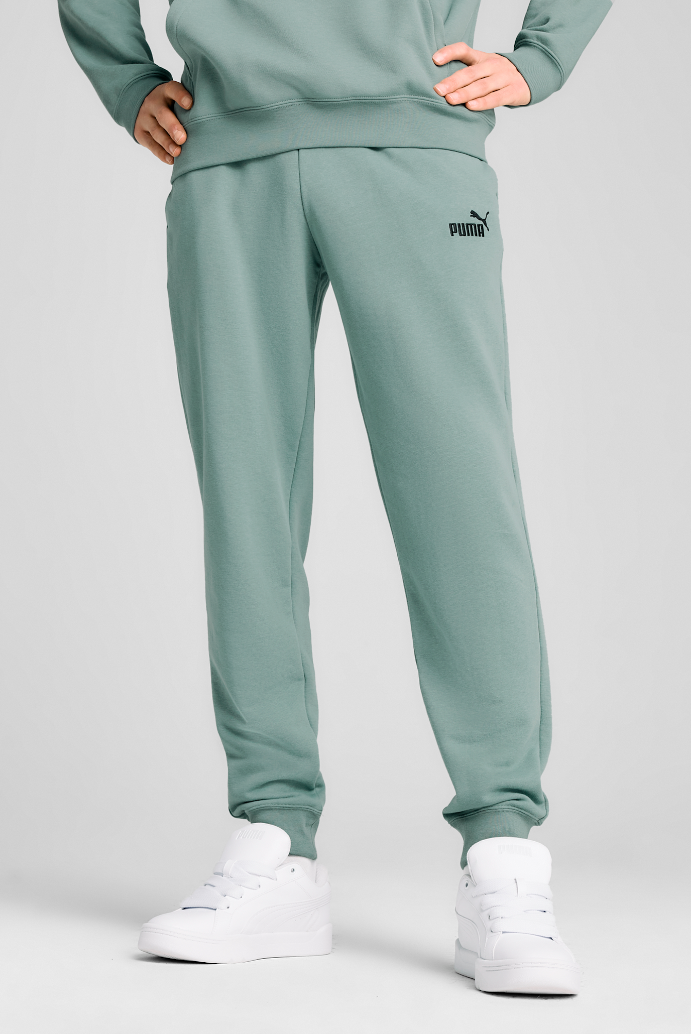 Мужские мятные спортивные брюки Essentials No. 1 Logo Sweatpants Men 1