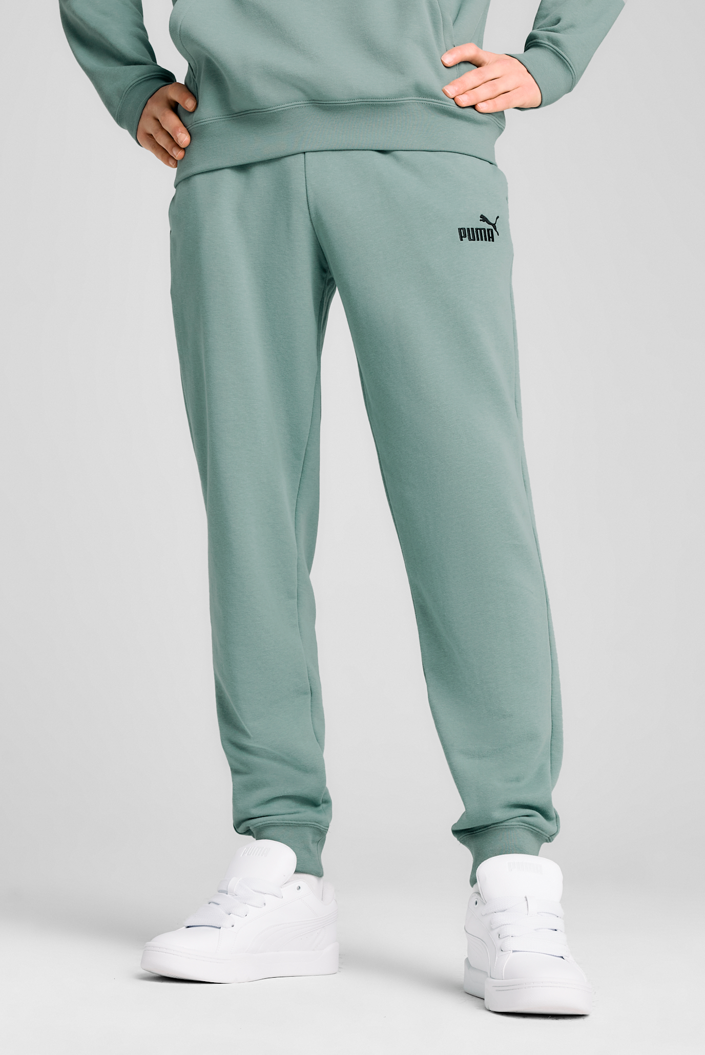 Чоловічі м'ятні спортивні штани Essentials No. 1 Logo Sweatpants Men 1