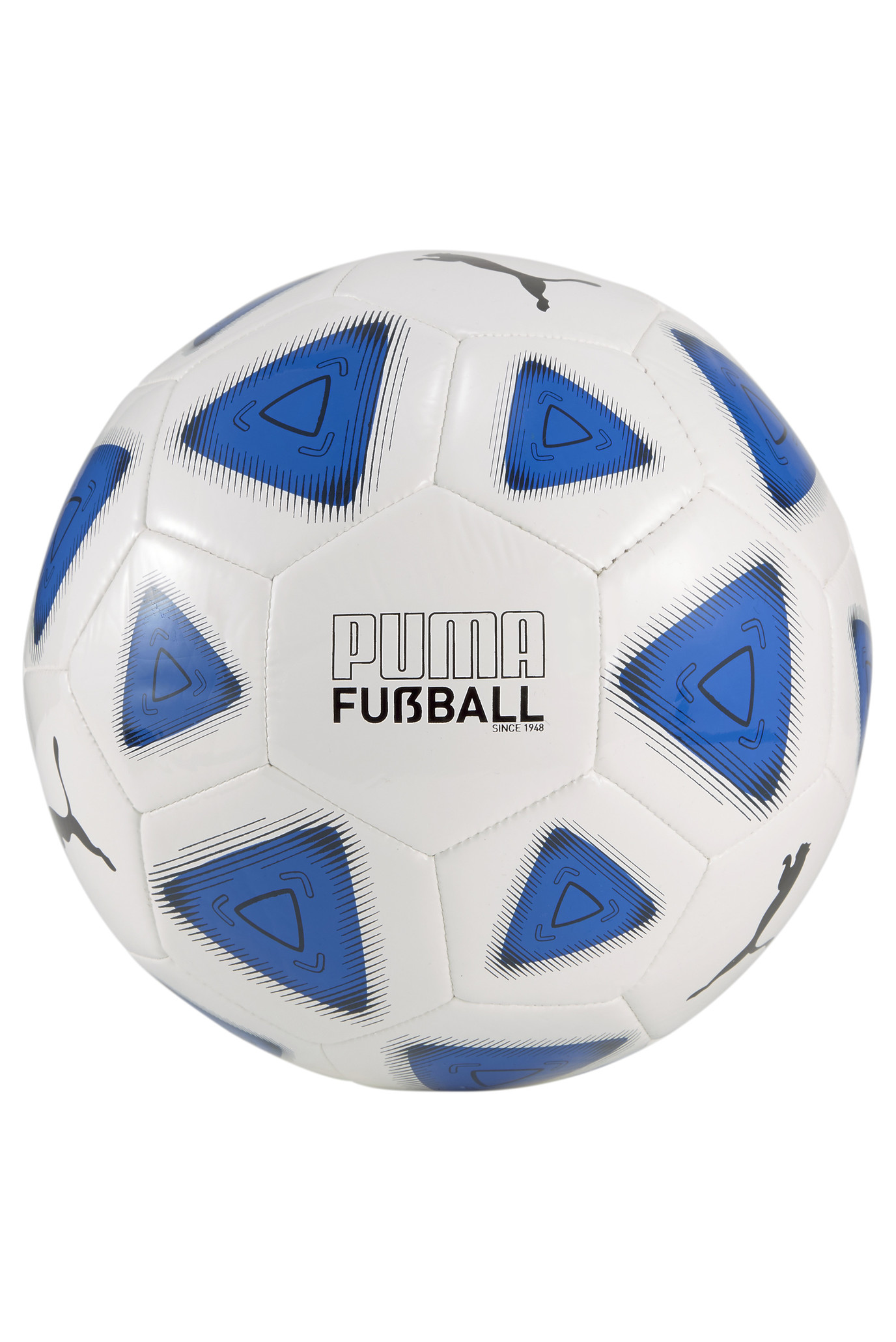 Футбольний м'яч FUßBALL Prestige Football 1