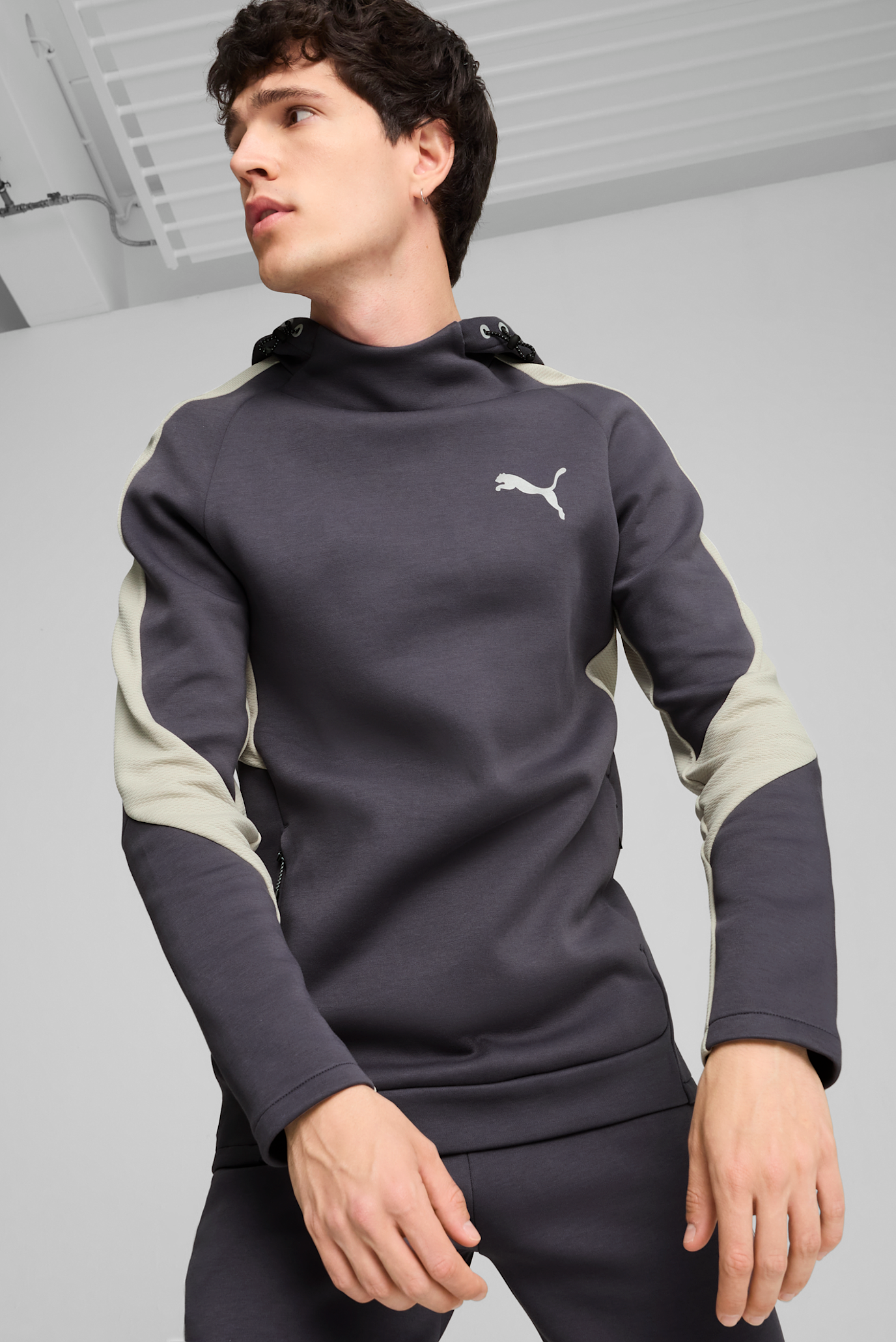 Мужское серое худи EVOSTRIPE Hoodie Men 1