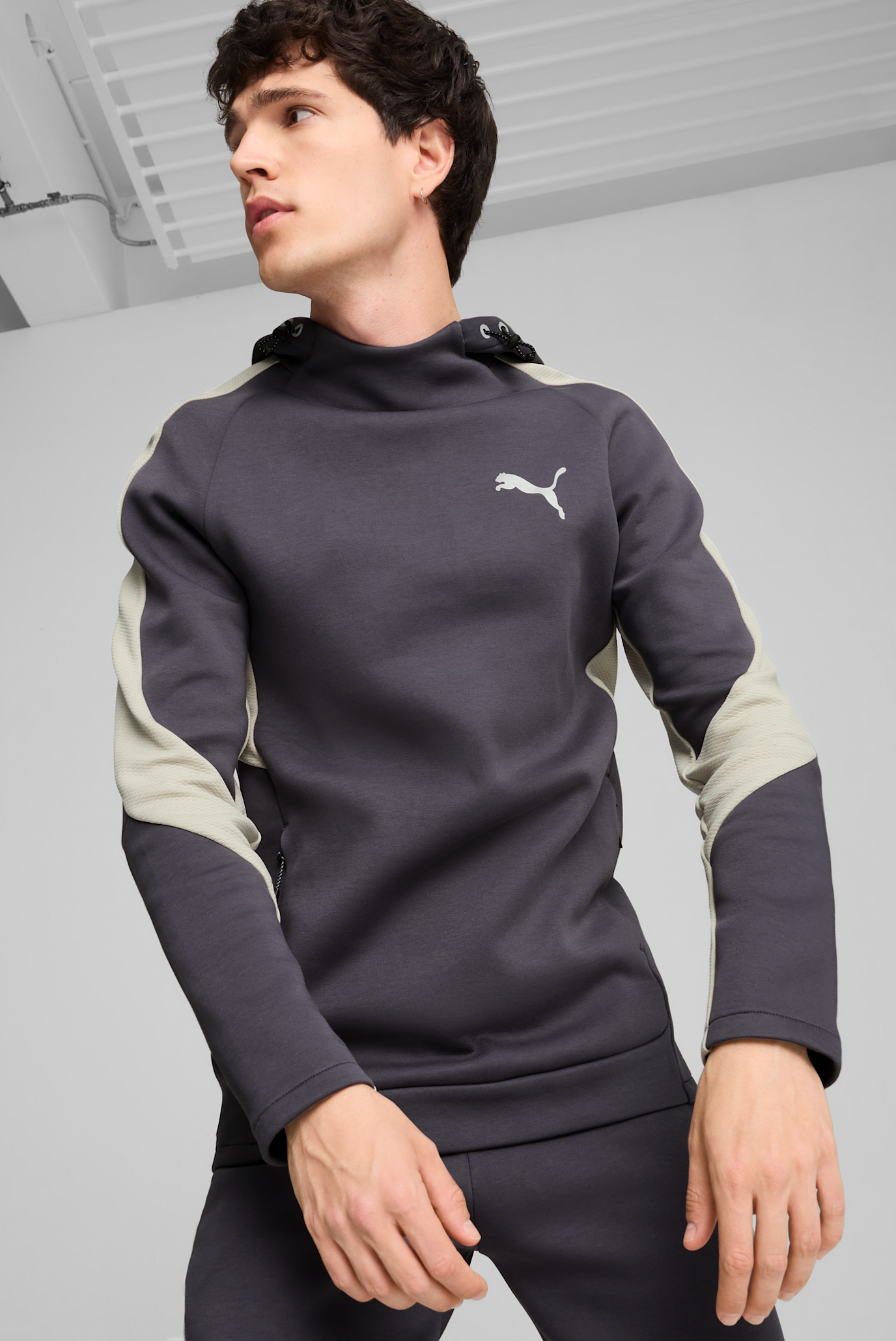 Чоловіче сіре худі EVOSTRIPE Hoodie Men 1