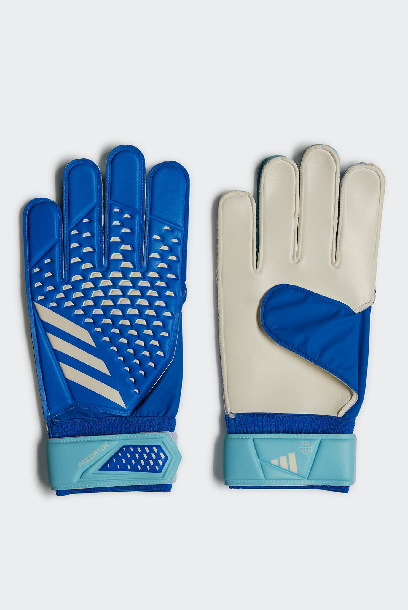 Синие вратарские тренировочные перчатки Predator 1