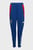 Дитячі сині спортивні штани Spain Tiro 24 Competition Training