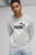 Чоловічий світло-сірий світшот PUMA POWER Men's Graphic Sweatshirt