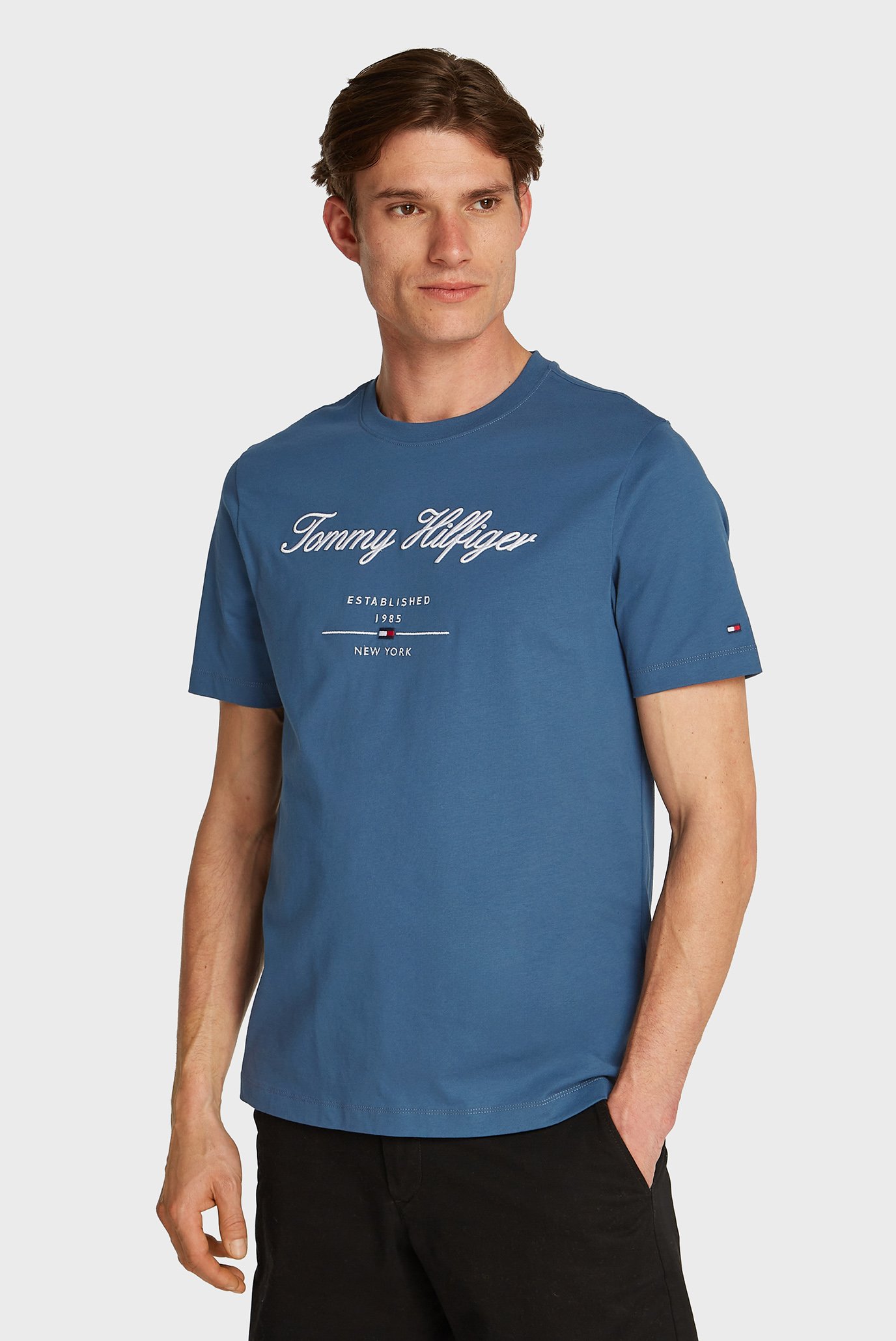 Мужская синяя футболка SCRIPT LOGO TEE Синий L Tommy Hilfiger MW0MW33691 Мужская синяя футболка SCRIPT LOGO TEE Синий L Tommy Hilfiger MW0MW33691