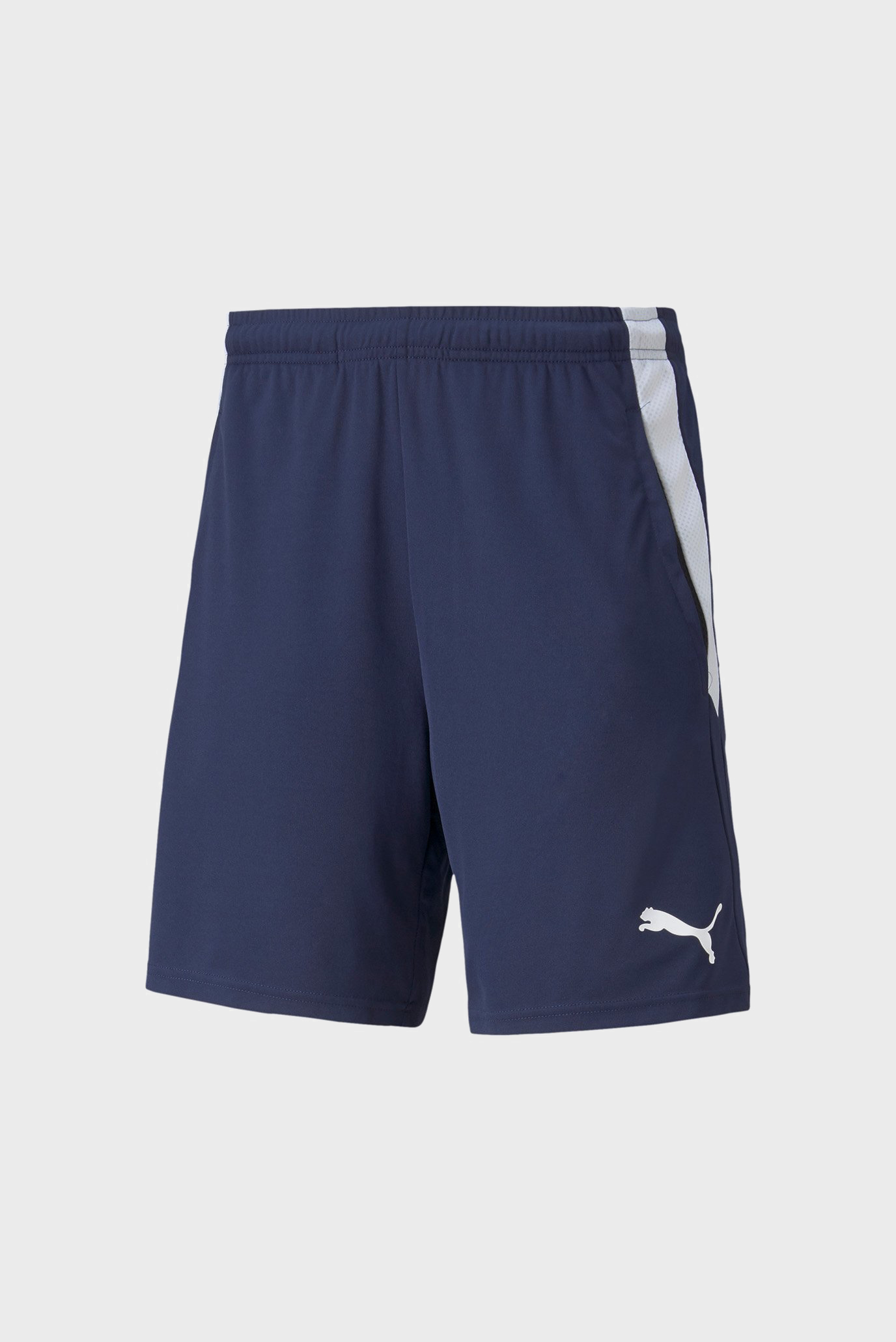 Мужские темно-синие шорты teamLIGA Training Men's Football Shorts 2 1