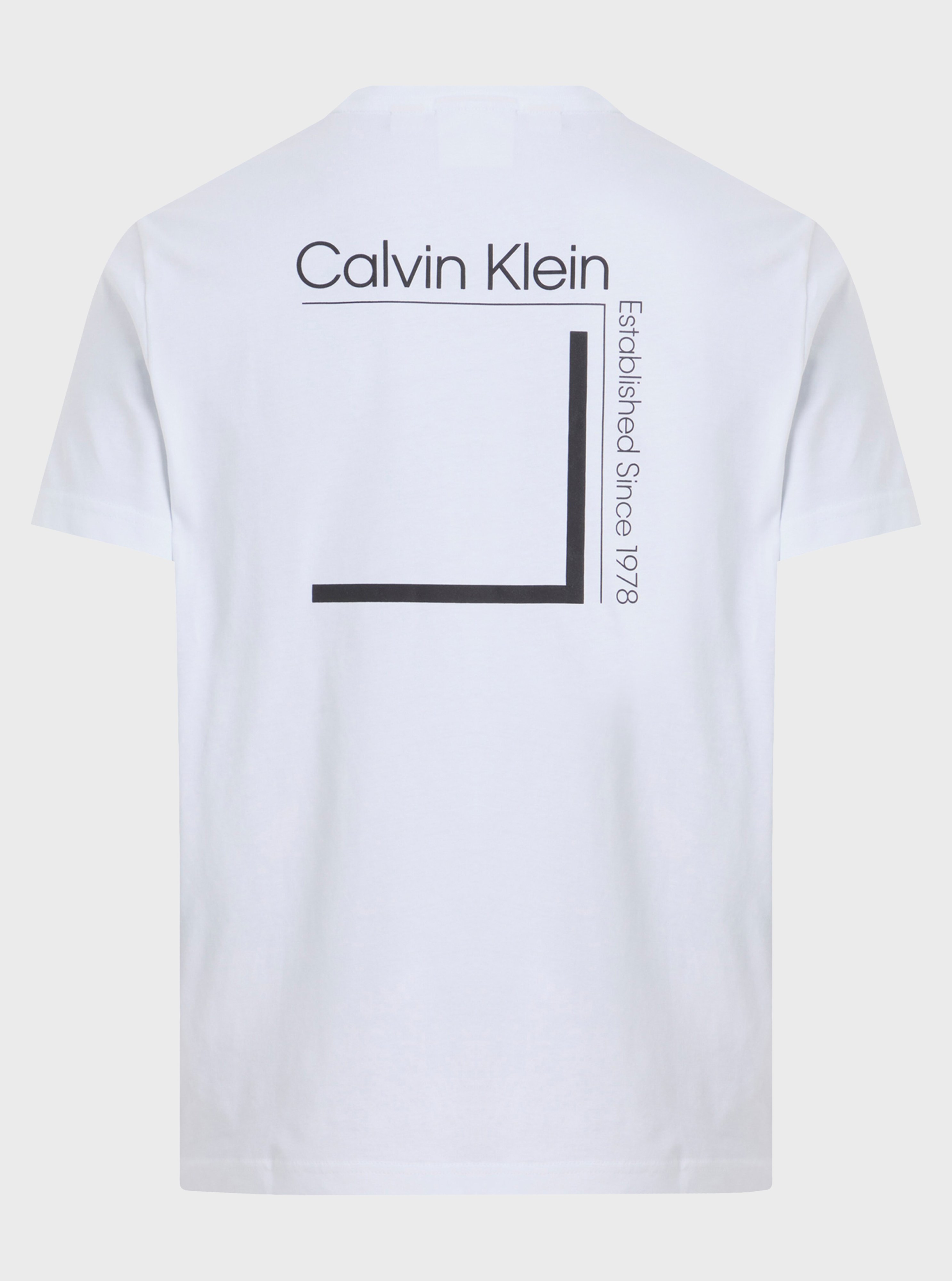 Мужская белая футболка CP-LINEAR BOX LOGO Белый M Calvin Klein K10K114152 Мужская белая футболка CP-LINEAR BOX LOGO Белый M Calvin Klein K10K114152