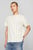 Мужская бежевая футболка в полоску TJM REG VARSITY PINSTRIPE TEE