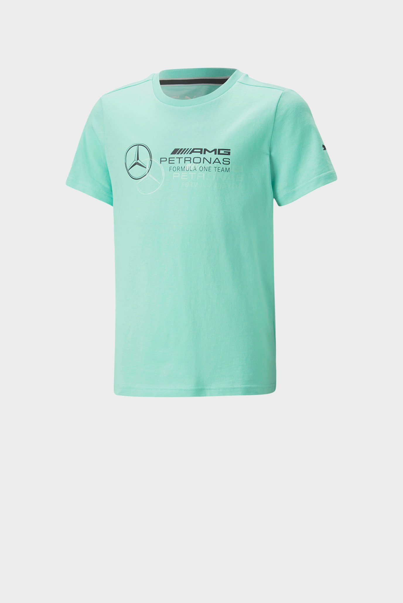 Дитяча бірюзова футболка Mercedes-AMG Petronas Motorsport Logo Tee Youth 1