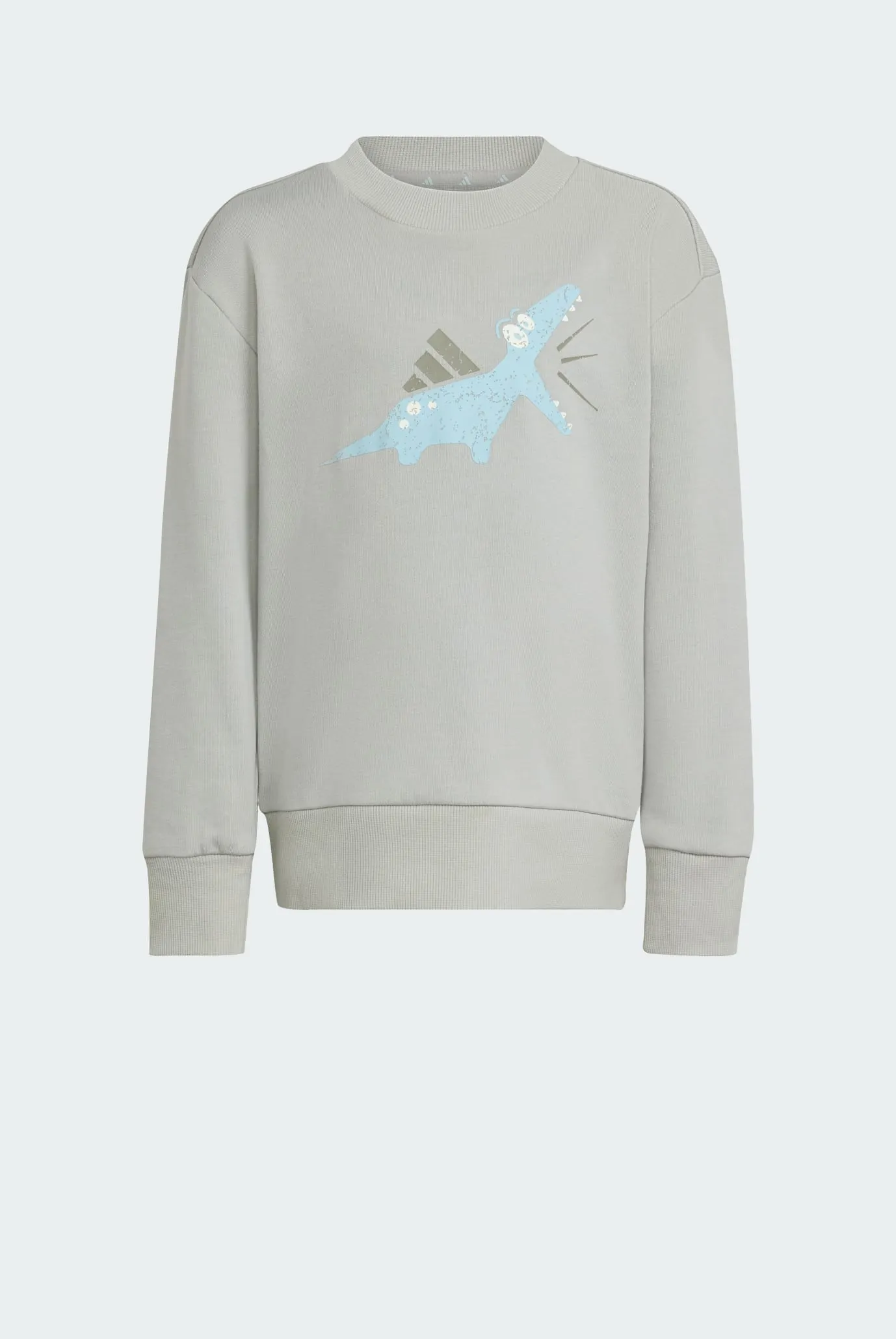 Детский спортивный костюм (свитшот, брюки) Seasonal Essentials Adiraptor Fleece Little Kids 6