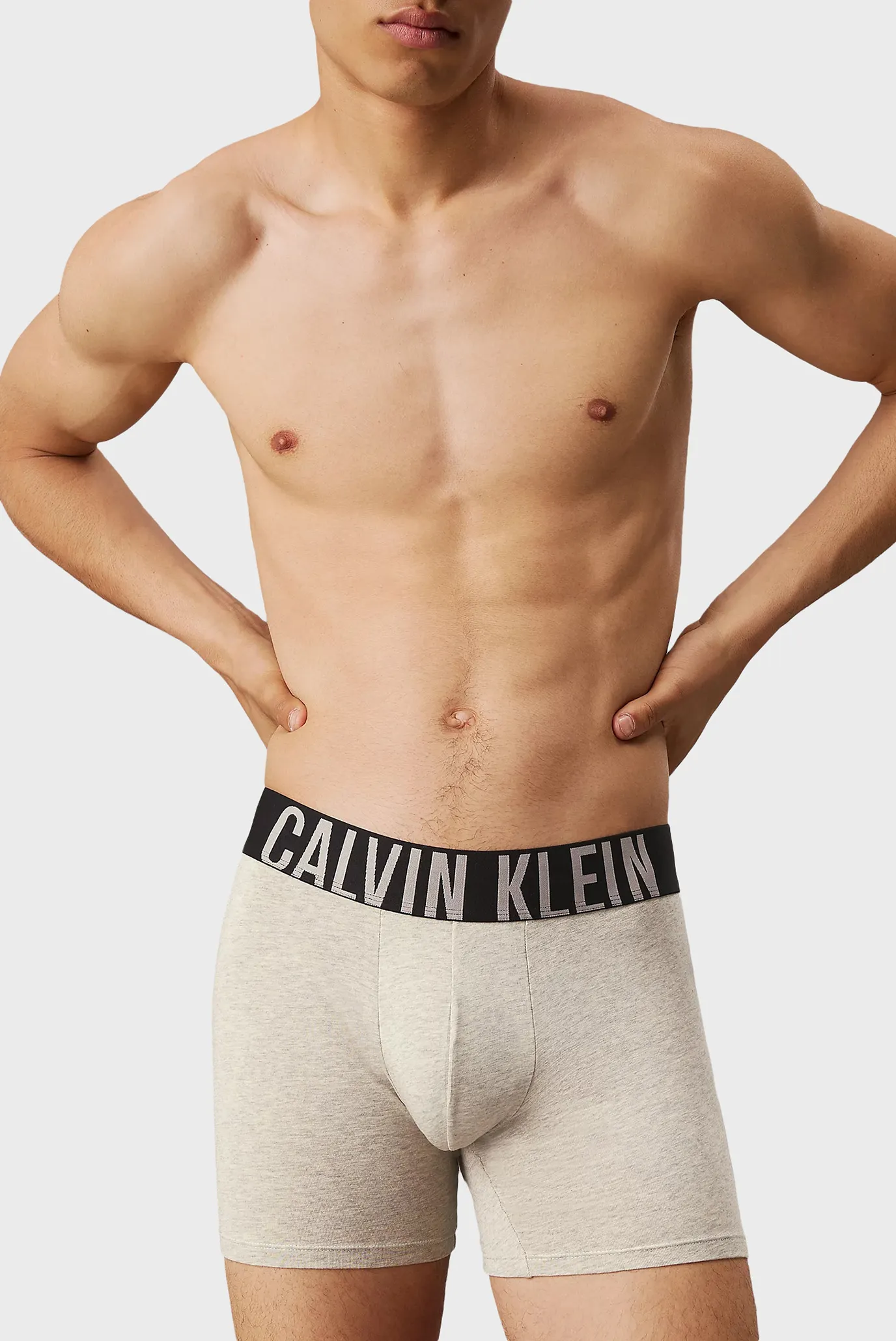 Чоловічі боксери (3 шт) BOXER BRIEF 5
