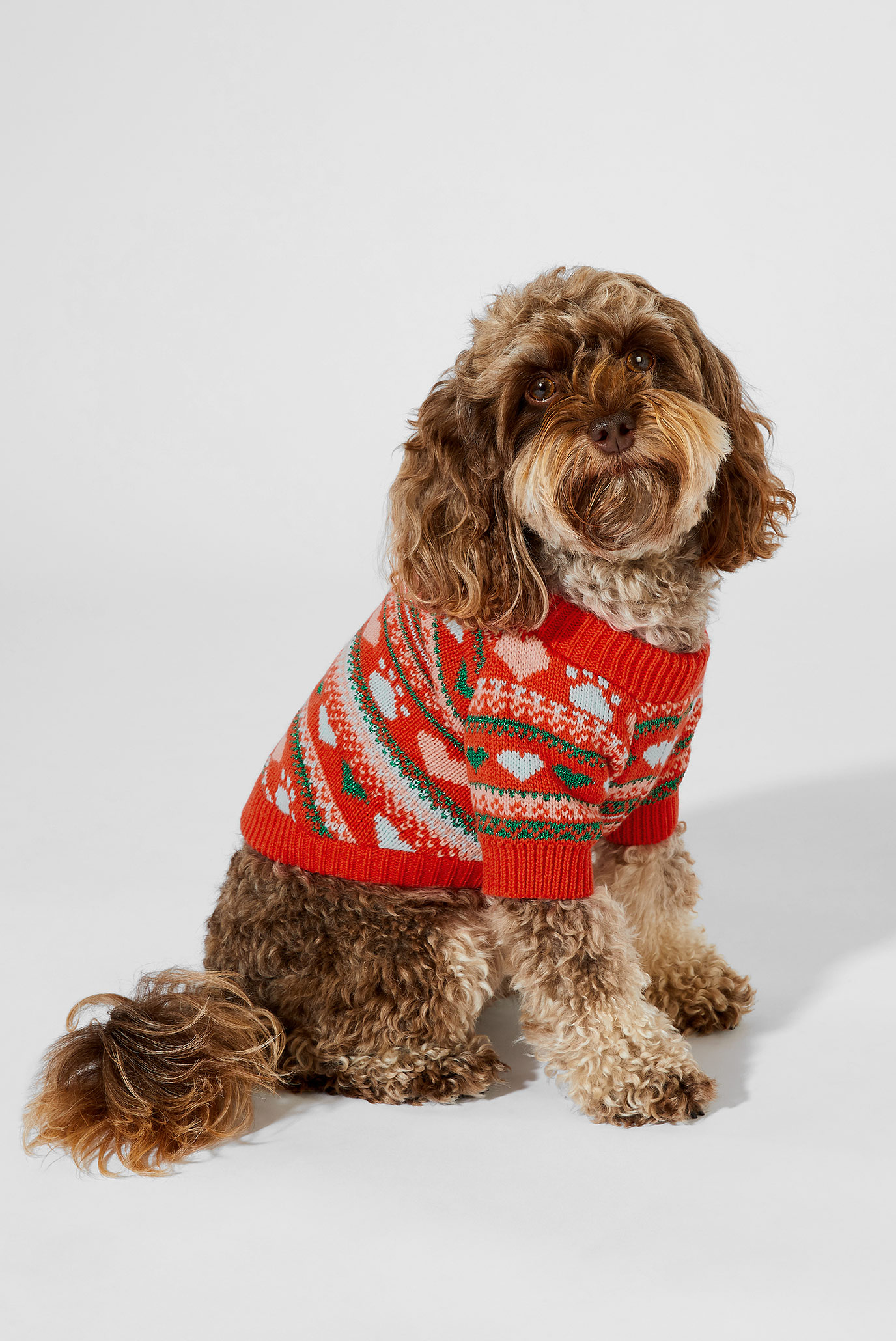 Fairisle Dog Jumper Accessorize 780205 MD