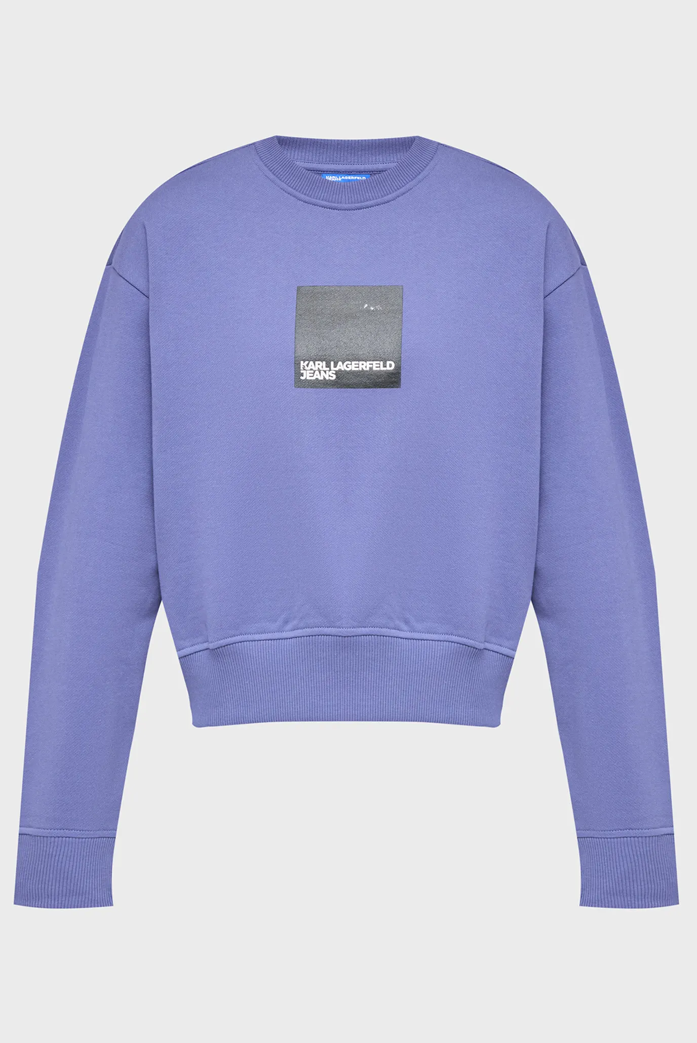 Жіночий фіолетовий світшот reg 1