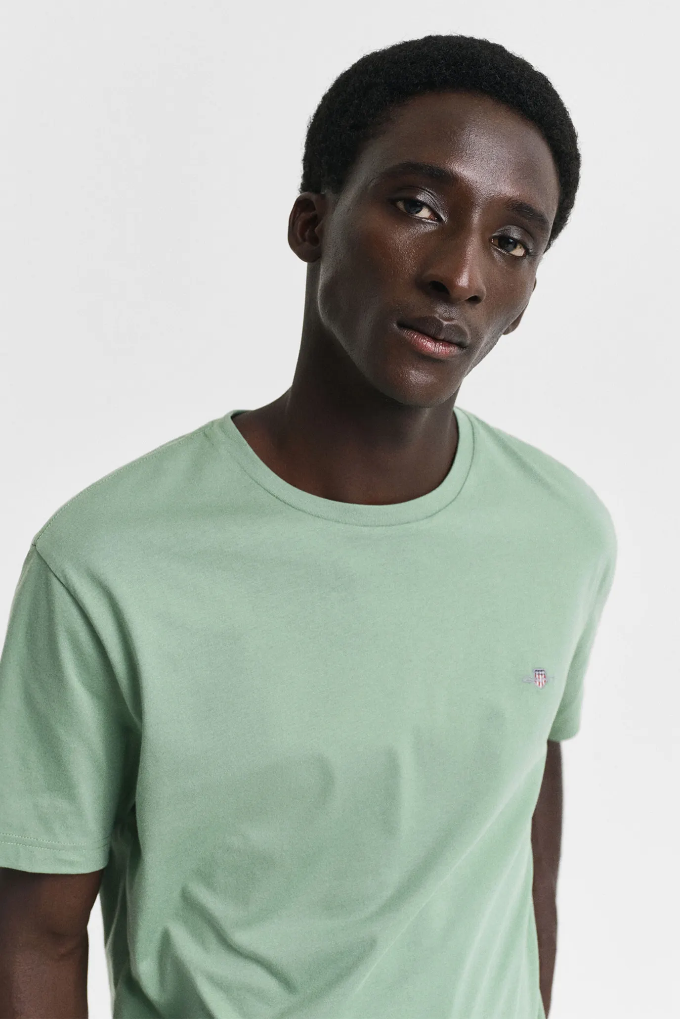 Мужская салатовая футболка REG SHIELD 4