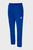 Чоловічі сині спортивні штани ФК 