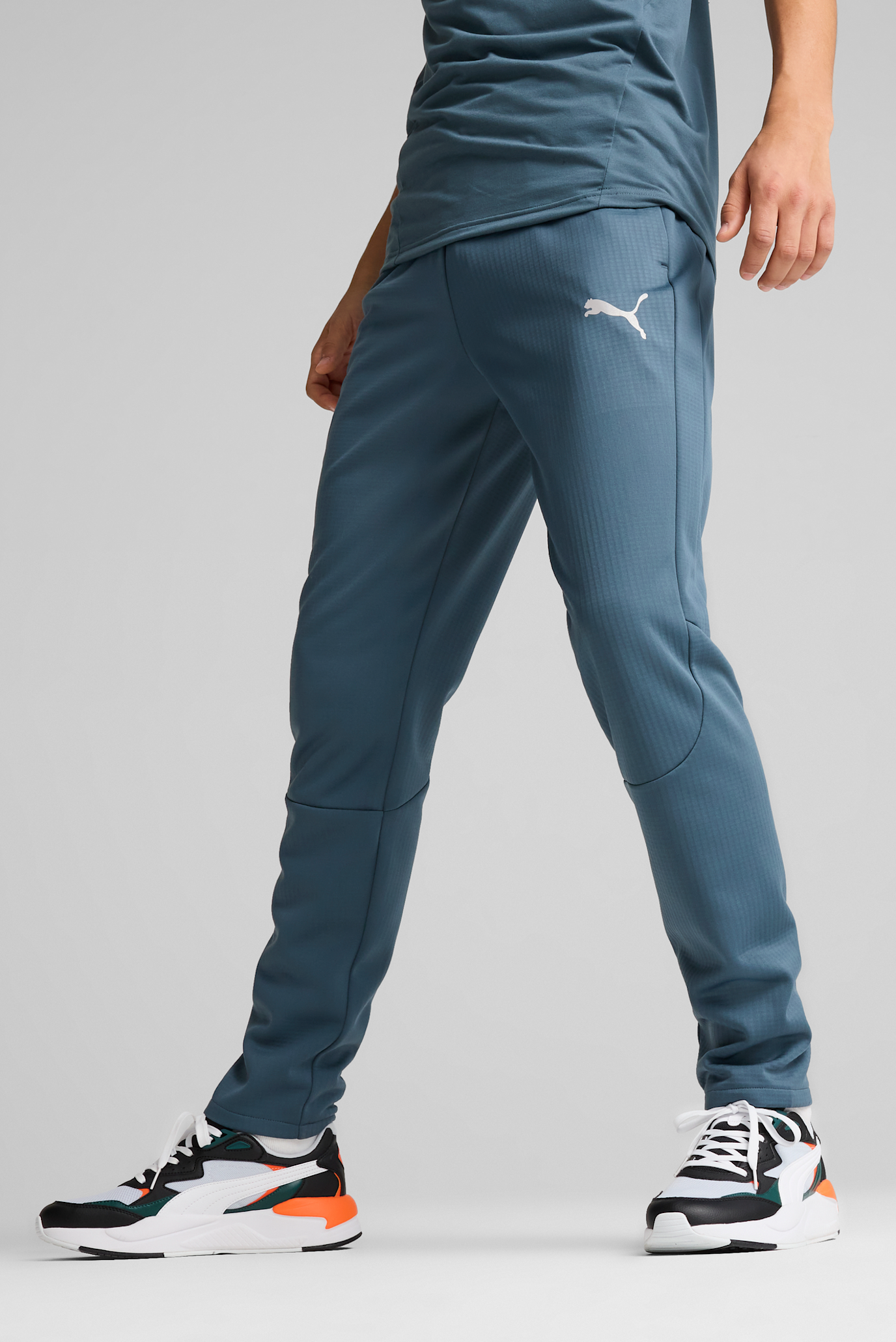 Чоловічі сірі спортивні штани EVOSTRIPE Pants Men 1