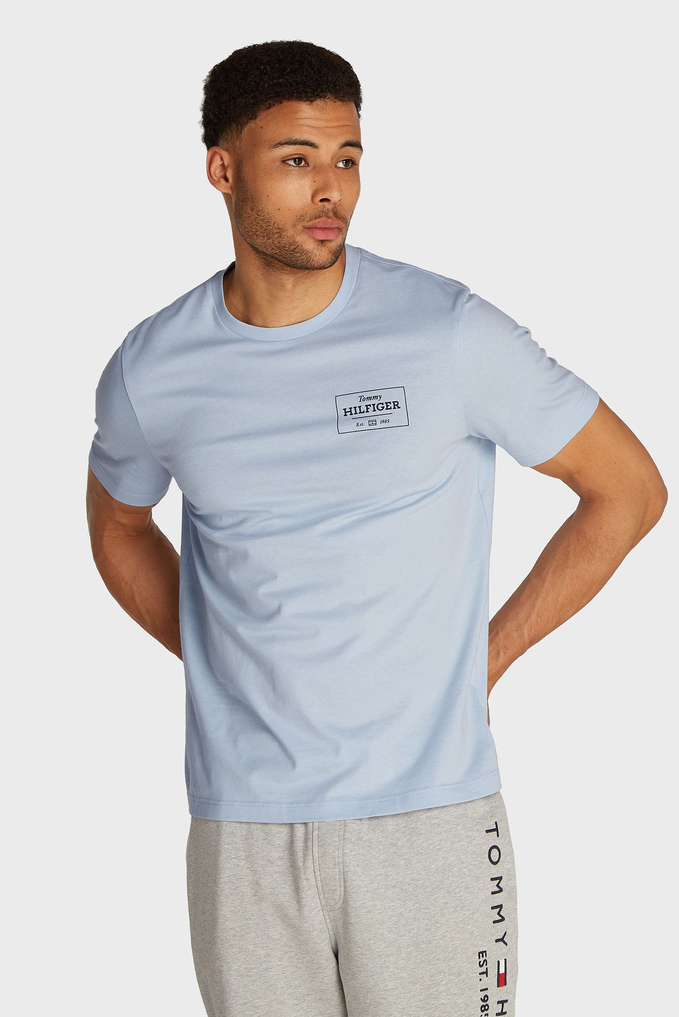 Мужская голубая футболка MONOTYPE PRINTED LABEL TEE Голубой L Tommy Hilfiger MW0MW37454 Мужская голубая футболка MONOTYPE PRINTED LABEL TEE Голубой L Tommy Hilfiger MW0MW37454