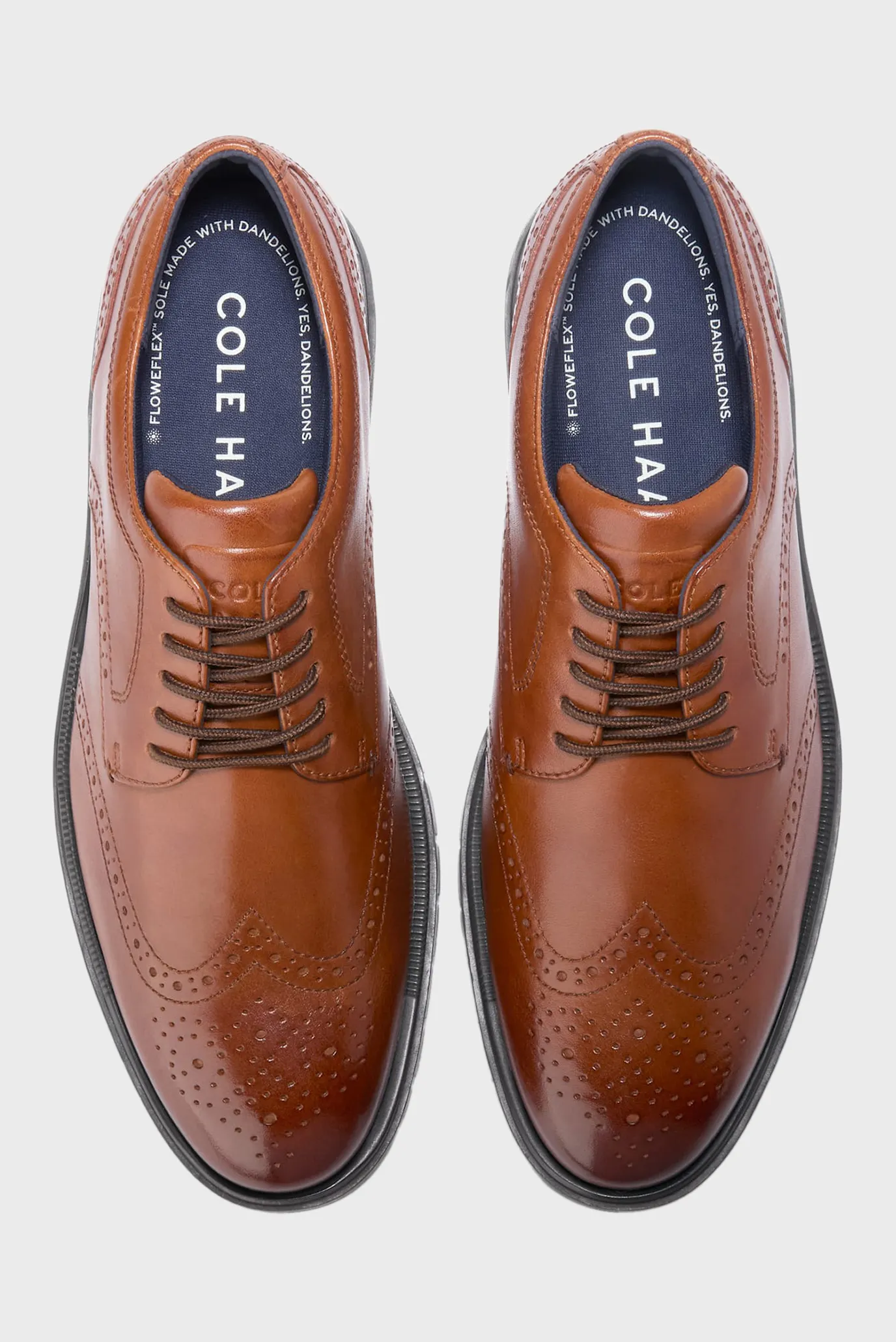 Чоловічі коричневі шкіряні броги GrandFlex Dress Wingtip Oxford 4