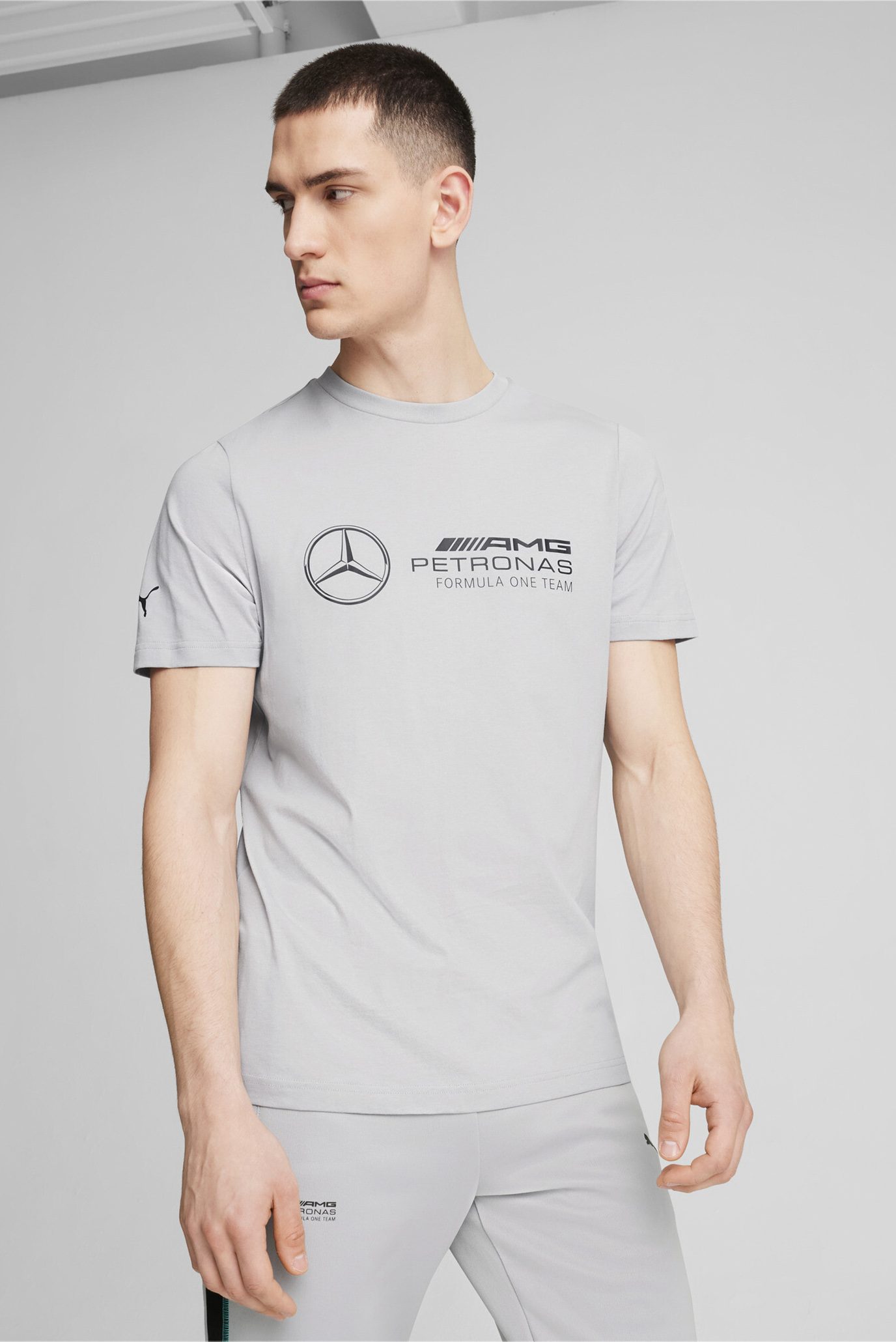 Мужская серая футболка Mercedes-AMG Petronas F1® ESS Logo Tee Men 1