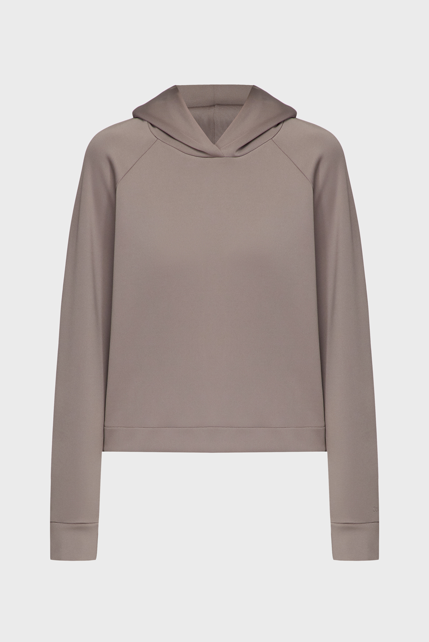 Женское коричневое худи Коричневый XS Calvin Klein K20K205140 Женское коричневое худи Коричневый XS Calvin Klein K20K205140