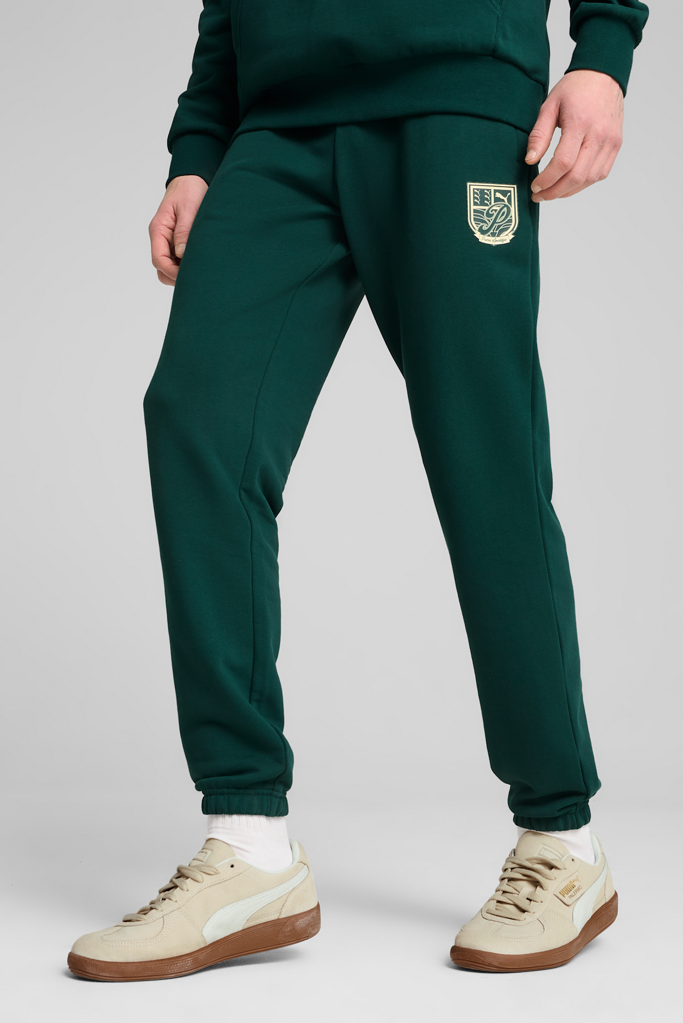 Чоловічі зелені спортивні штани SPORTS LEGACY Graphic Sweatpants Men 1